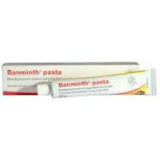Banminth worming paste for dogs